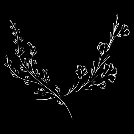 Hand Drawn Vector Illustrations Of Two Branches With Flowers and Leaves Isolated on Black Background. Hand Drawn Outline Sketch of Flowers.のイラスト素材