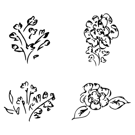 Abstract peonies and roses isolated on white background. Hand drawn floral collection. 4 floral graphic elements. Big vector set. Outline icons.のイラスト素材