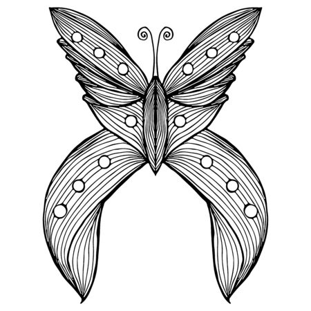 Abstract vector illustration of hand drawn butterfly isolated on white background. Ink drawing, graphic style. Outline butterfly.のイラスト素材
