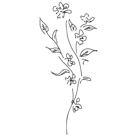 Abstract wildflowers outline icon isolated on white background.のイラスト素材