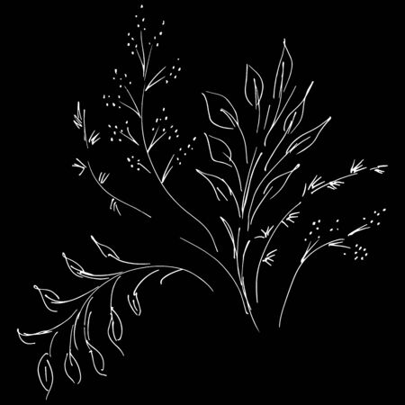 Abstract wildflowers isolated on black background. Hand Drawn  illustration. Outline.の写真素材