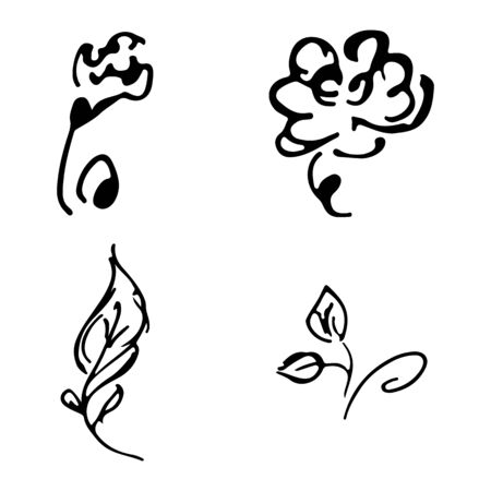 Flowers and branches hand drawn doodle collection isolated on white background. 4 floral graphic elements. Big  set. Outline collection.の写真素材