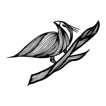 Bird hand-drawn branch in outline style on white background. Background vector illustration. Bird hand-drawn branch in the abstract style. Vector design illustration.のイラスト素材