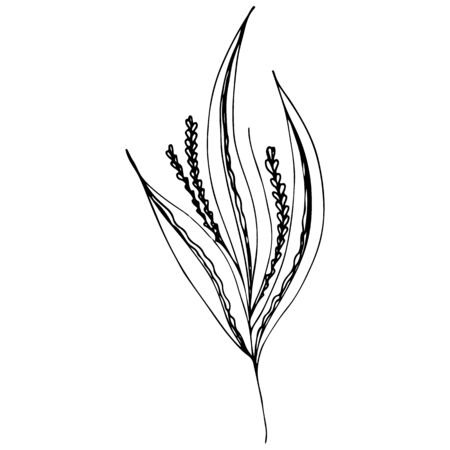 Line art flowers outline icon in hand drawn style. Vintage floral icon, great design for any purposes. Black flowers on white background. Ink line drawn tropical leaves.のイラスト素材