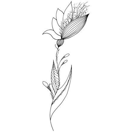 Tropical frame hand drawn. Jungle foliage illustration. Floral border. Hand drawing. Natural spring wedding card. Summer tropical leaf. Botanical frame. Line drawing.のイラスト素材