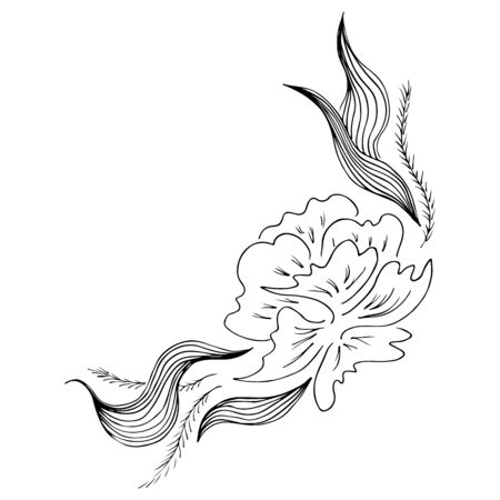 Engraved hand drawn abstract orchid. Retro flowers hand outline orchid, great design for any purposes. Outline vector. Nature background. Tropical plant. Floral design. Abstract art background.のイラスト素材