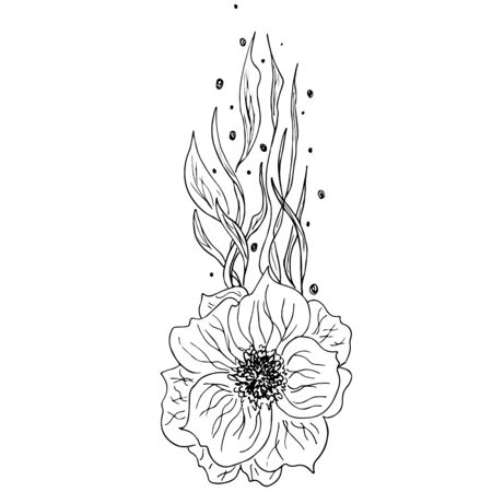 Engraved hand drawn abstract orchid. Retro flowers hand outline orchid, great design for any purposes. Outline vector. Nature background. Tropical plant. Floral design. Abstract art background.のイラスト素材