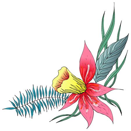 Engraved hand drawn abstract orchid. Retro flowers hand outline orchid, great design for any purposes. Outline vector. Nature background. Tropical plant. Floral design. Abstract art background.のイラスト素材