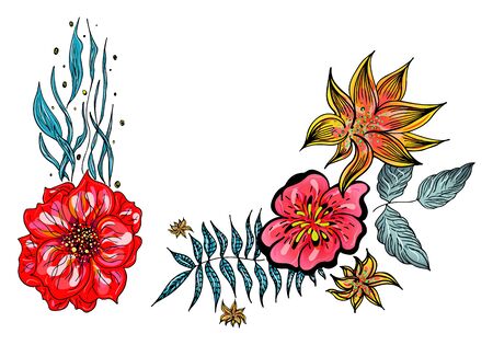Set of two summer colorful tropical flowers. Floral botanical flower set isolated on white background. Botanical Hawaii nature. Tropical palm icon. Hawaiian illustration.のイラスト素材