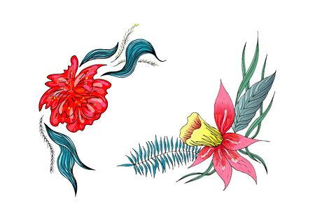 Set of two summer colorful tropical flowers. Floral botanical flower set isolated on white background.のイラスト素材