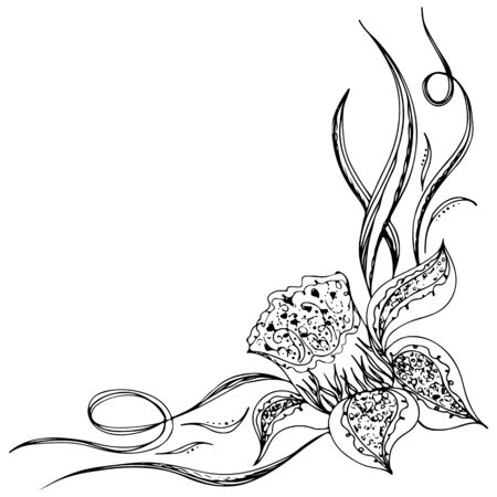 Engraved hand drawn abstract orchid. Retro flowers hand outline orchid, great design for any purposes. Outline vector. Nature background. Tropical plant. Floral design. Abstract art background.のイラスト素材