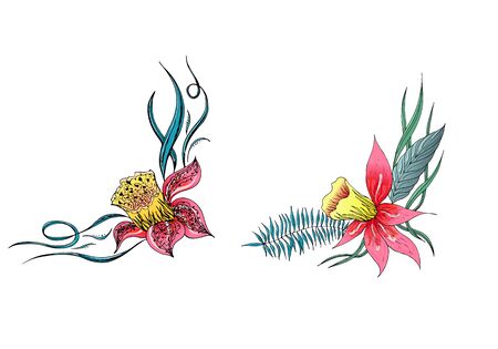 Set of two summer colorful tropical flowers. Floral botanical flower set isolated on white background. Hand drawn vector collection. Botanical Hawaii nature. Tropical palm icon. Hawaiian illustration.のイラスト素材