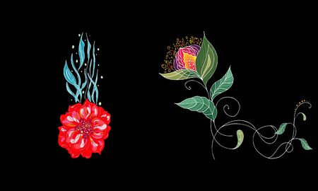 Set of two summer colorful tropical flowers. Floral botanical flower set isolated on black background. Hand drawn vector collection. Botanical Hawaii nature. Tropical palm icon. Hawaiian illustration.のイラスト素材