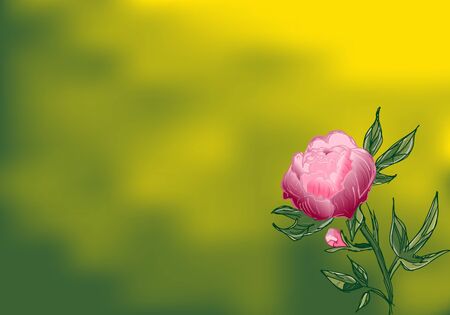 Hand drawn peony flower. Peony flower in flat style on a green background with copy space.のイラスト素材