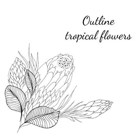 Outline hand drawn tropical flowers. Retro flowers hand outline orchid, great design for any purposes. Vector illustration. Tropical plant. Design elements. Abstract art background.のイラスト素材