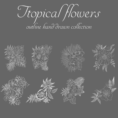 Tropical flowers. Outline hand drawn bundle. Outline vector collection for decorative design. Doodle line graphic design. Hand drawn vector set. Exotic flowers. Freehand illustration set.のイラスト素材