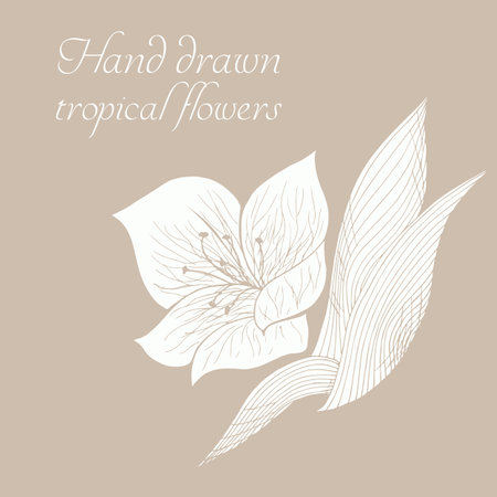 Vector silhouette of hand drawn tropical flowers. Floral illustration in sketch style. Summer background with tropical flowers for travel or t shirt. isolated.のイラスト素材
