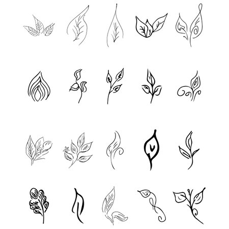Doodle collection of 20 hand-drawn floral elements. Big collection of 20 hand-drawn leaves. Big floral botanical set isolated on a white backgroundのイラスト素材