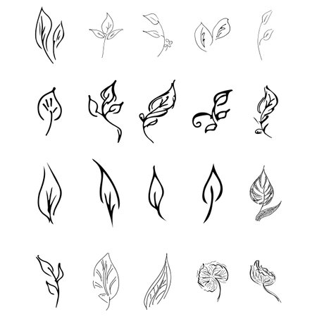 Doodle collection of 20 hand-drawn floral elements. Big collection of 20 hand-drawn leaves. Big floral botanical set isolated on a white backgroundのイラスト素材