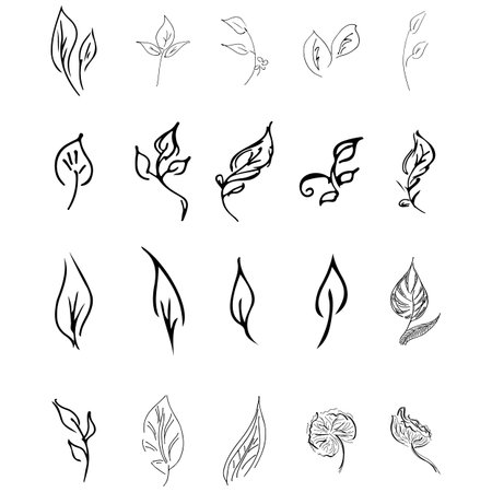 Doodle collection of 20 hand-drawn floral elements. Big collection of 20 hand-drawn leaves. Big floral botanical set isolated on a white backgroundのイラスト素材