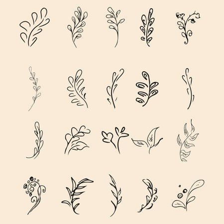 Doodle collection of 20 hand-drawn floral elements. Big collection of 20 hand-drawn branches. Big floral botanical set. isolated.のイラスト素材