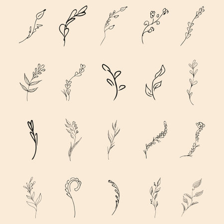 Doodle simple collection of 20 hand-drawn floral elements. Big collection of 20 hand-drawn branches. Big floral botanical set. isolated.のイラスト素材