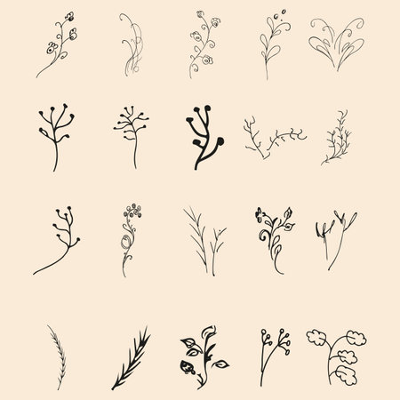 Doodle simple collection of 20 hand-drawn floral elements. Big collection of 20 hand-drawn branches. Big floral botanical set. isolated.のイラスト素材