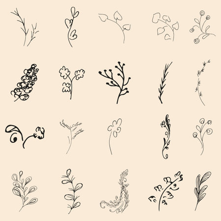 Doodle simple collection of 20 hand-drawn floral elements. Big collection of 20 hand-drawn branches. Big floral botanical set. isolated.のイラスト素材