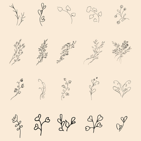Doodle simple vector collection of 20 hand-drawn floral elements. Big collection of 20 hand-drawn branches. Big floral botanical set. isolated.のイラスト素材
