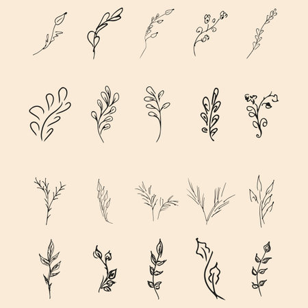 Doodle simple vector collection of 20 hand-drawn floral elements. Big collection of 20 hand-drawn branches. Big floral botanical set. isolated.のイラスト素材