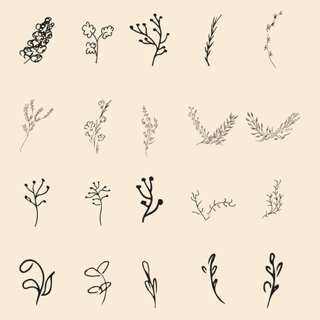 Doodle simple vector collection of 20 hand-drawn floral elements. Big collection of 20 hand-drawn branches. Big floral botanical set. isolated.のイラスト素材