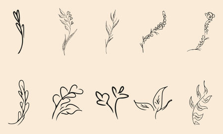 Doodle simple vector collection of 10 hand-drawn floral elements. Big collection of 10 hand-drawn branches. Big floral botanical set. isolatedのイラスト素材