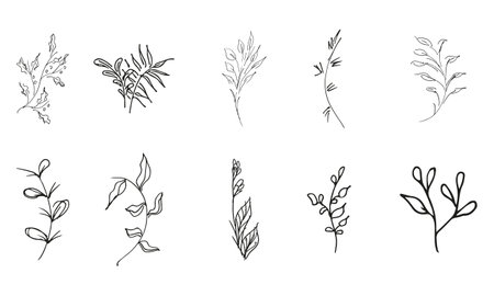 Doodle simple vector collection of 10 hand-drawn floral elements. Big collection of 10 hand-drawn branches. Big floral botanical set. isolated on white background.のイラスト素材