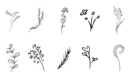 Doodle simple vector collection of 10 hand-drawn floral elements. Big collection of 10 hand-drawn branches. Big floral botanical set. isolated on white backgroundの写真素材