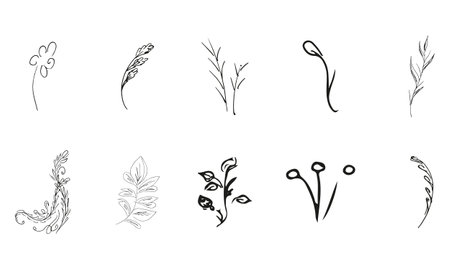Doodle simple vector collection of 10 hand-drawn floral elements. Big collection of 10 hand-drawn branches. Big floral botanical set. isolated on white backgroundのイラスト素材
