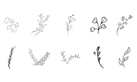 Doodle simple vector collection of 10 hand-drawn floral elements. Big collection of 10 hand-drawn branches. Big floral botanical set. isolated on white backgroundのイラスト素材