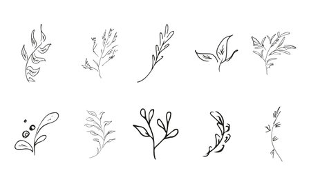 Doodle simple vector collection of 10 hand-drawn floral elements. Big collection of 10 hand-drawn branches. Big floral botanical set. isolated on white backgroundのイラスト素材