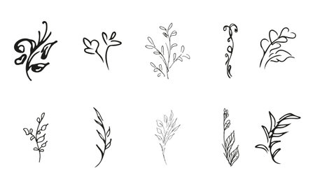 Doodle simple vector collection of 10 hand-drawn floral elements. Big collection of 10 hand-drawn branches. Big floral botanical set. isolated on white backgroundのイラスト素材