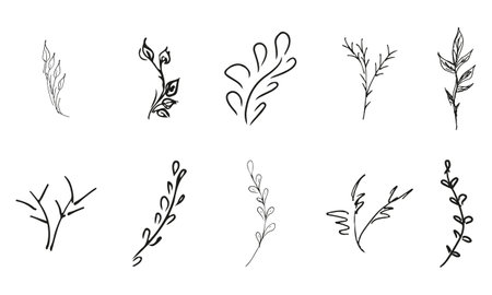 Doodle simple vector collection of 10 hand-drawn floral elements. Big collection of 10 hand-drawn branches. Big floral botanical set. isolated on white backgroundのイラスト素材