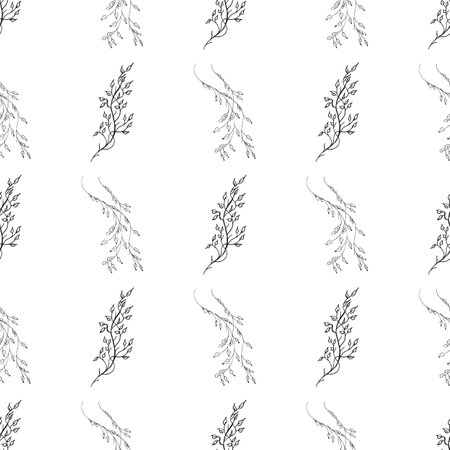 Doodle simple vector seamless pattern of hand-drawn leaves. Seamless pattern of hand-drawn branches. Big floral botanical set. isolated on white backgroundのイラスト素材