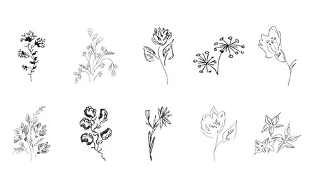 10 hand-drawn blossom wildflowers. Big collection of 10 hand-drawn roses. Big floral botanical set. isolated on white background. Doodle simple vector collectionのイラスト素材