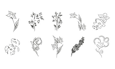 10 hand-drawn blossom wildflowers. Big collection of 10 hand-drawn roses. Big floral botanical set. isolated on white background. Doodle simple vector collectionのイラスト素材