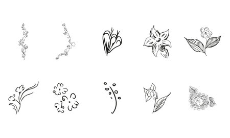 10 hand-drawn blossom wildflowers. Big collection of 10 hand-drawn roses. Big floral botanical set. isolated on white background. Doodle simple vector collectionのイラスト素材