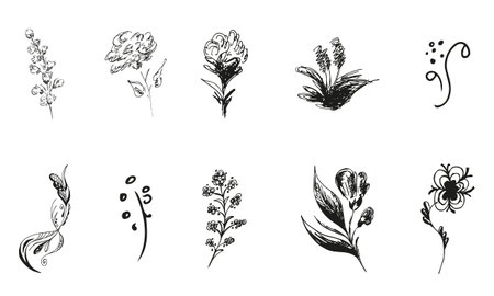 10 hand-drawn blossom wildflowers. Big collection of 10 hand-drawn roses. Big floral botanical set. isolated on white background. Doodle simple vector collectionのイラスト素材