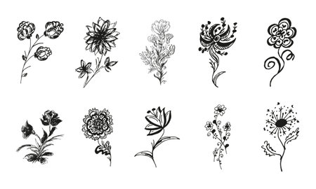 10 hand-drawn blossom wildflowers. Big collection of 10 hand-drawn roses. Big floral botanical set. isolated on white background. Doodle simple vector collectionのイラスト素材