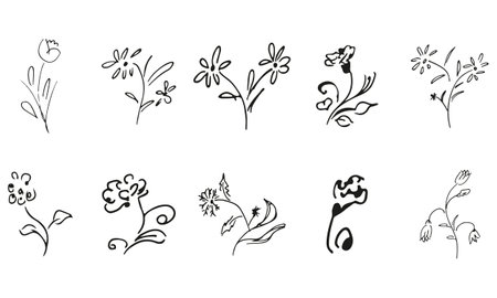 10 hand-drawn blossom wildflowers. Big collection of 10 hand-drawn roses. Big floral botanical set. isolated on white background. Doodle simple vector collectionのイラスト素材