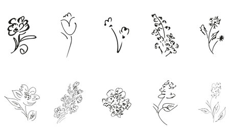 10 hand-drawn blossom wildflowers. Big collection of 10 hand-drawn roses. Big floral botanical set. isolated on white background. Doodle simple vector collectionのイラスト素材