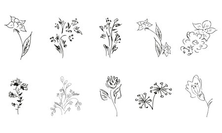 10 hand-drawn blossom wildflowers. Big collection of 10 hand-drawn roses. Big floral botanical set. isolated on white background. Doodle simple vector collectionのイラスト素材