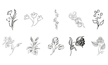 10 hand-drawn blossom wildflowers. Big collection of 10 hand-drawn roses. Big floral botanical set. isolated on white background. Doodle simple vector collectionのイラスト素材