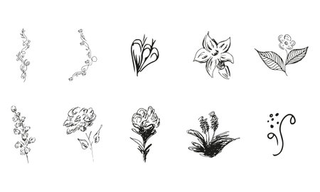 10 hand-drawn blossom wildflowers. Big collection of 10 hand-drawn roses. Big floral botanical set. isolated on white background. Doodle simple vector collectionのイラスト素材